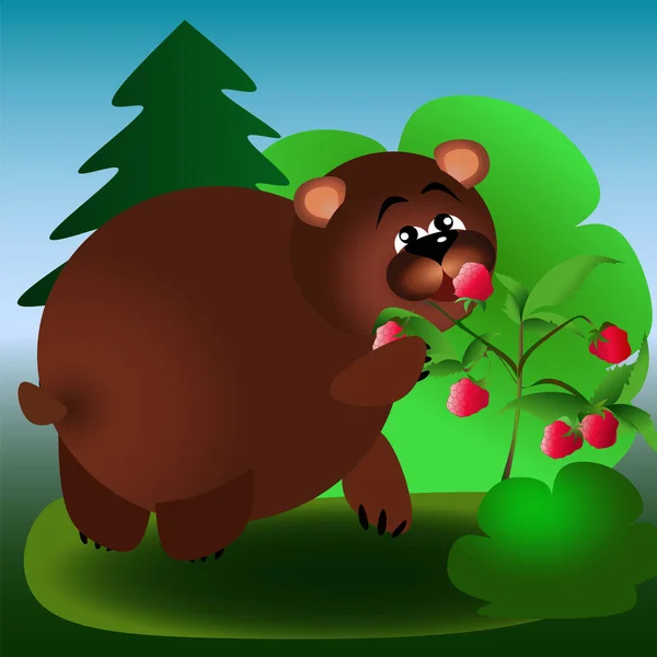 Vzdělávací Obrázek Pro Děti Medvědem Hnědým Lese Jíst Maliny — Stock fotografie
