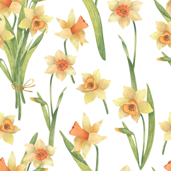 Padrão Primavera Sem Costura Com Narcisos Amarelos Pode Ser Usado — Fotografia de Stock