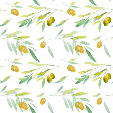 Zeytin dallarının dikişsiz suluboya desenleri. Beyaz arka planda zeytin dalı. Arka plan için suluboya zeytin ağacı, doku, ambalaj deseni, eşsiz tasarımınız için.