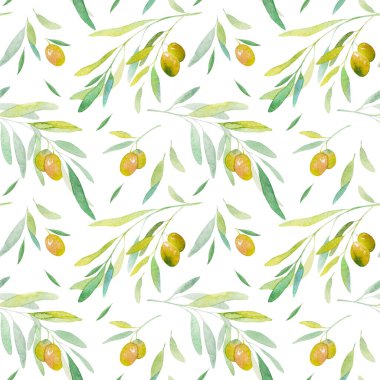 Suluboya kusursuz desen. Beyaz arka planda zeytin dalı. Arka plan için suluboya zeytin ağacı, doku, ambalaj deseni, eşsiz tasarımınız için.