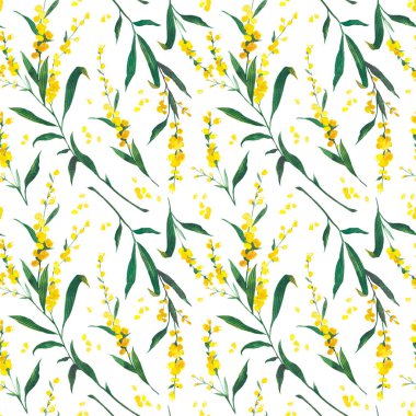 Kusursuz suluboya çiçekli sarı mimoza deseni. Davet, tebrik kartı veya duvar kağıdı kavramı.