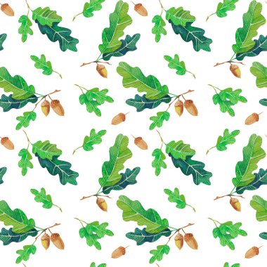 Meşe dalları ve yapraklarının kusursuz suluboya deseni. Yeşil desenli, dallı, yapraklı, yapraklı. Mükemmel tasarım, duvar kağıdı, desenler, ambalaj, kartpostallar..