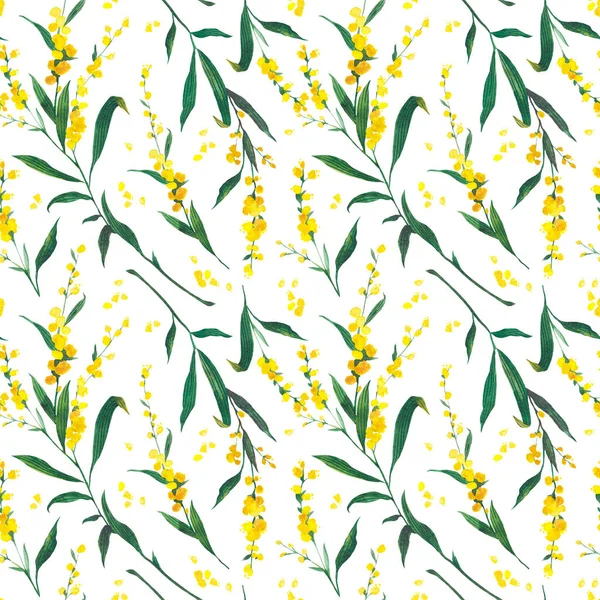 Naadloze Aquarel Bloemenpatroon Van Gele Mimosa Concept Voor Uitnodiging Wenskaart — Stockfoto