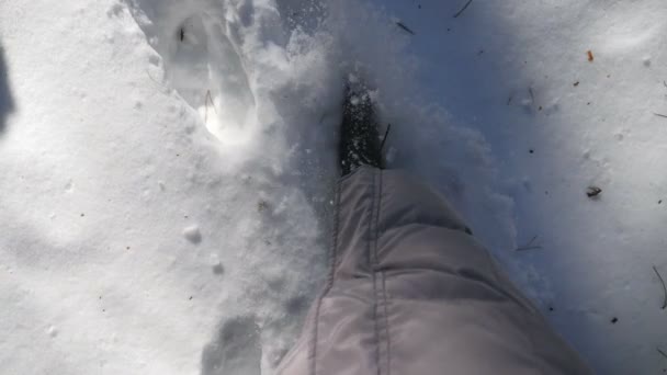Vista dall'alto delle gambe della donna che calpestano la neve profonda e la calciano. Escursionista irriconoscibile a piedi attraverso la foresta innevata nella fredda giornata invernale. Ragazza che va all'aperto. POV Rallentatore Close up — Video Stock