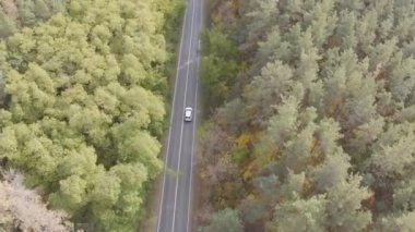 Sonbaharda kırsal yolda beyaz arabalara binmek. Otomobil, sarı sonbahar ormanlarındaki kırsal yolda gidiyor. SUV güzel bir sonbahar mevsiminde manzaralı arazide hareket eder.