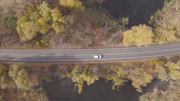 Carro andando pela bela estrada rural no outono. Auto drives em rota rural perto de lagos na floresta outonal amarela. Tiro aéreo de SUV se move através da paisagem cênica maneira na temporada de outono. Vista superior — Vídeo de Stock