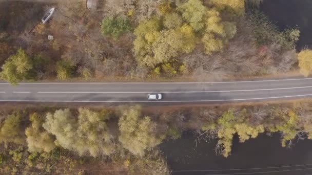 가을에 아름다운 시골 도로를 달리는 차. 자동차는 황토색 숲에 있는 호수 근처의 시골 길에서 운전 한다. SUV 의 공중 촬영은 가을에 경치가 좋은 길을 통해 진행 된다. 위에서 본 풍경 — 비디오