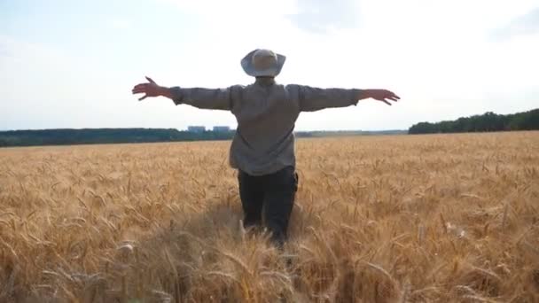 小麦畑を駆け抜けながら手を挙げてくれる幸せな若い農家。晴れた日に大麦の牧草地の間でジョギング中に楽しんでいる認識できない農学者。農業ビジネスの概念。後景 — ストック動画
