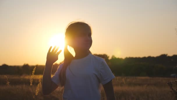 幸せな小さな子供のカメラの牧草地に立って彼女の髪で遊んで見てください。日没の背景の上に芝生のフィールドに小さな笑顔の少女の肖像画。屈託のない自由の概念。ドリーショット — ストック動画