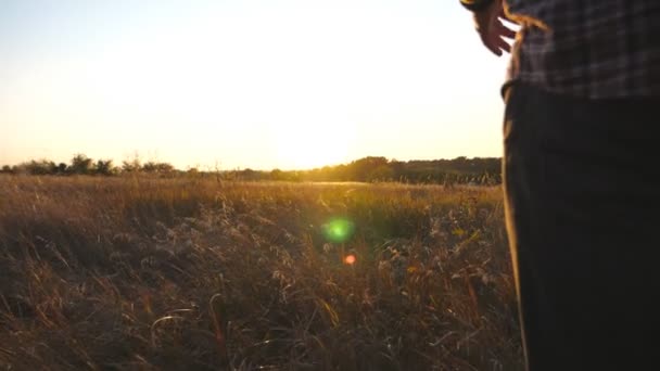 Widok z tyłu szczęśliwy człowiek jogging przez pole trawy z zachodem słońca w tle. Młody facet biegający wśród letniej łąki. Mężczyzna cieszący się odpoczynkiem w pięknej naturze. Koncepcja beztroski i wolności. Zamknij się. — Wideo stockowe