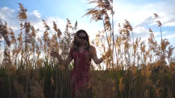 Napszemüveges fiatal lány sétál a magas fű mezején naplementekor. Lány élvezi a természet gyönyörű táj a háttérben. Visszapillantás Lassú mozgás Zárás — Stock videók