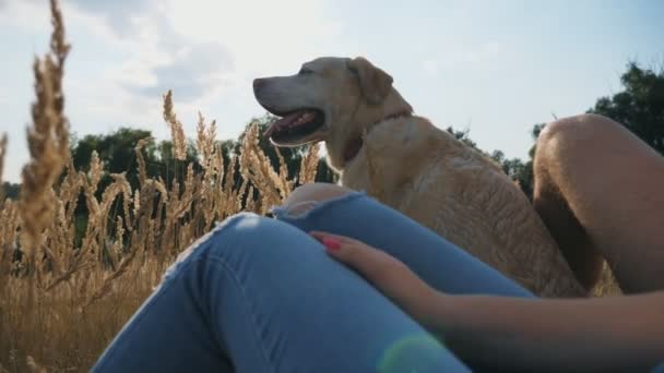 Young couple relaxing in park with their labrador. Family spends time together with his pet in nature. Pair enjoy weekend with their domestic animal. Slow motion Close up — Vídeo de Stock