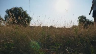 Labradoruyla dışarıda yürüyen tanınmayan bir adam. Adam doğada evcil hayvanıyla vakit geçiriyor. Evcil hayvan sahibini takip eder. Arka planda güneş ışığı. Yan Görünüm Yavaş çekim Kapat