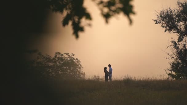 Young man and woman hugging and showing love feelings on beautiful summer evening. Happy couple enjoying romantic moment or date at nature scene. Concept of loving relationship or romance. Slow motion — Vídeo de stock