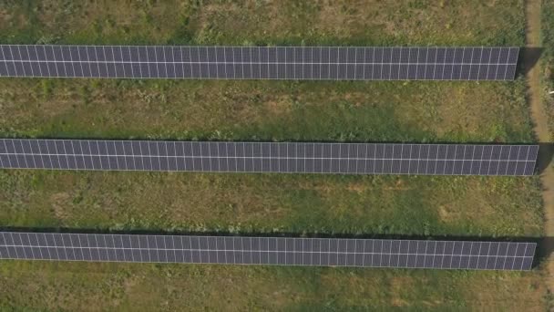 전기를 생산하는 태양 전 지판 농장을 공중에서 볼 수있습니다. 목초지 나 시골 지역에 설치 된 에너지 태양 전 지판이 줄지어 있다. 생태와 재생 가능 한 녹색 에너지의 개념. 최고 샷 — 비디오