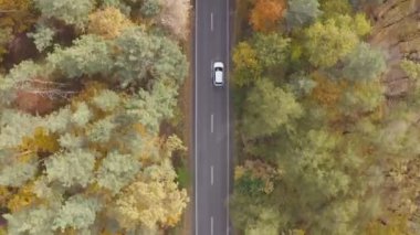Sonbahar kırsal yolunda araba sürüyor. Güzel bir sonbahar sezonunda kırsal bölgede araba kullanmak. Beyaz SUV, sarı sonbahar ormanı boyunca manzaralı arazide ilerliyor. Üst Görünüm Hava Görüntüsü