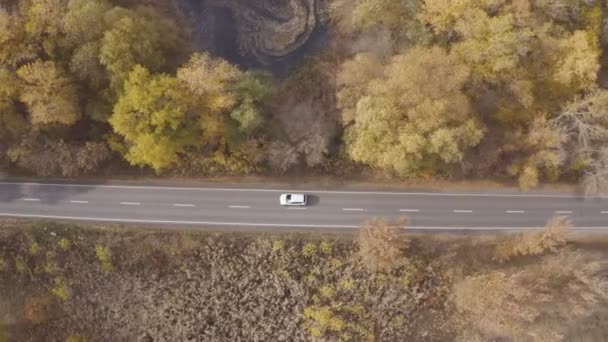 Sonbaharda Arabayla Seyahat Etmek Sarı Sonbahar Ormanlarındaki Kırsal Yolda Otomobil — Stok video