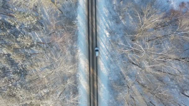 Colpo aereo di auto bianca iniziare a cavalcare attraverso la strada ghiacciata innevata. SUV guida a percorso di campagna nella foresta il giorno d'inverno. Volare sopra l'auto in movimento attraverso il paesaggio panoramico modo. Vista dall'alto — Video Stock