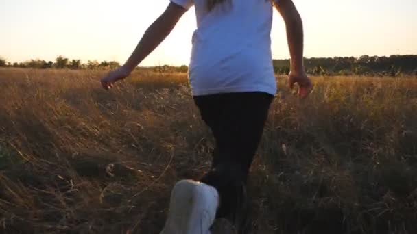 Следуйте за счастливой маленькой девочкой, бегущей через травяное поле с закатом на заднем плане. Милая детская пробежка среди лугов, наслаждаясь свободой на природе. Беззаботный ребенок веселится в деревне. Вид сзади — стоковое видео