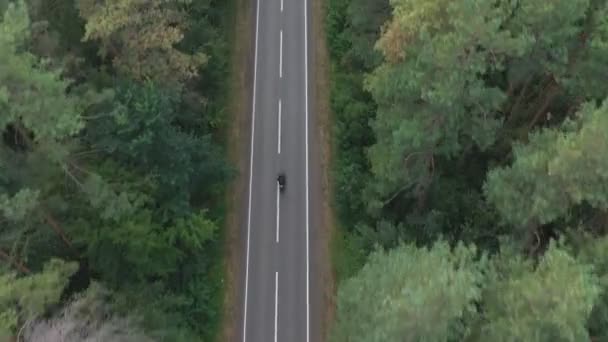 Orman yolunda motosiklet süren motorcuya havadan çekilmiş bir fotoğraf. Motosikletli biri Green Wood 'da kır yolunda motosikletiyle yarışıyor. Yolculuk sırasında bisiklet süren bir adam. Özgürlük ve macera kavramı. Üst görünüm — Stok video