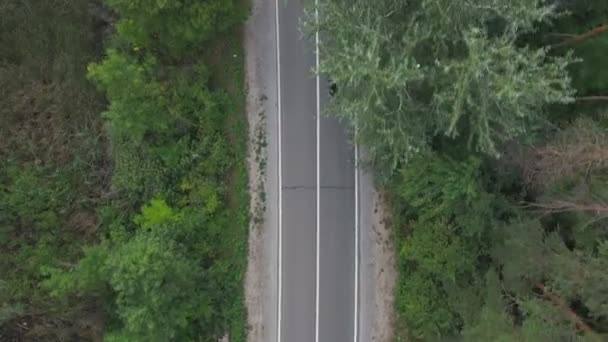 Man riding on motorbike through forest road. Motorcyclist racing his motorcycle on country route. Guy driving bike during trip. Biker during trip. Concept of freedom and journey. Aerial shot Top view — Video