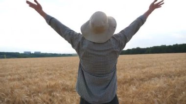 Olgun buğday tarlasında duran ve altın tarlasında elini kaldıran mutlu genç çiftçi. Arpa otlağına bakan erkek tarım uzmanı mevsimlik arpa hasadından memnun. Tarım kavramı