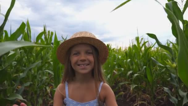 Hermosa niña en sombrero de paja que va a la cámara a través del campo de maíz. Niño lindo feliz con el pelo largo y rubio caminando sobre la plantación de maíz. Un niño pequeño pasa tiempo en el prado. De cerca. — Vídeos de Stock