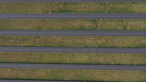 Luchtfoto van zonnepanelen die elektriciteit opwekken. Rijen van energie zonnepanelen geïnstalleerd op landbouwgrond weide of landelijk veld. Concept van ecologie en hernieuwbare groene energie. Bovenste schot — Stockvideo