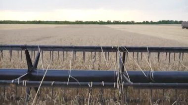 Dönen ve buğday kulakları kesen birleşik bıçakları kapatın. Tarlada çalışan tahıl hasatçısı. Arpa toplama sürecine bakın. Hasat kavramı. Arka planda manzara manzarası. Yavaş çekim
