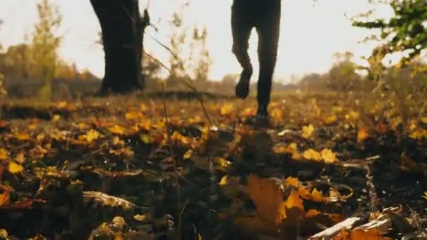 Nerozpoznatelný sportovec v kapuci jogging v podzimním parku šlapání na barevné javorové listy. Sportovec trénuje venku při západu slunce. Nádherná přírodní krajina. Zdravý životní styl. Pomalý mo — Stock video