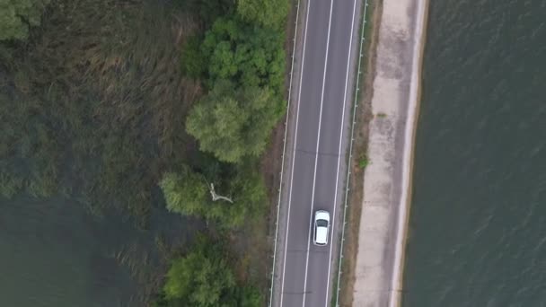 승용차가 통과하는 Suv 여름에 도로에서 자동차를 강이나 연못의 다리를 건너는 — 비디오
