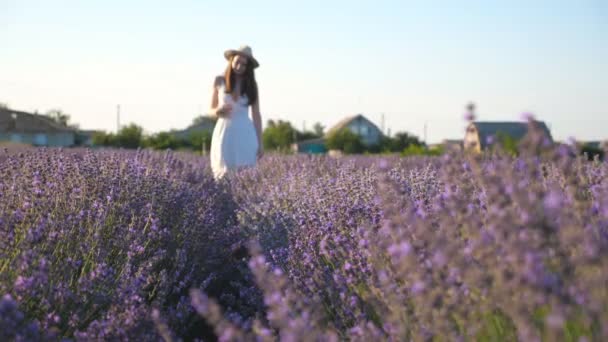 Young Woman Dress Walking Lavender Field Attractive Girl Wearing Hat — Stockvideo