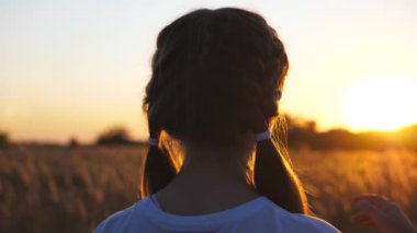 Güzel, küçük bir kızın güzel bir akşam gün batımını seyrederek çim çayırında duruşu. Mutlu bayan çocuk sarı saçlarıyla oynuyor ve doğanın tadını çıkarıyor. Tasasızlık ve özgürlük kavramı.