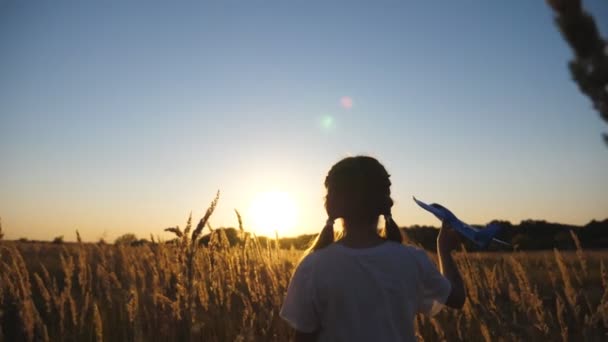 Kaygısız Dişi Çocuk Gün Batımında Çim Çayırında Uçakla Oynuyor Tarlada — Stok video