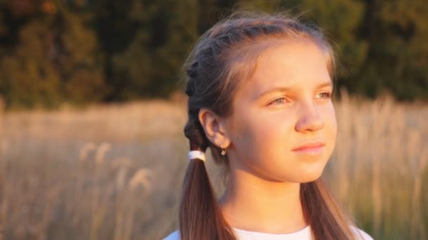 Portrait Happy Little Girl Stands Grass Meadow Looking Beautiful Evening — Stockvideo