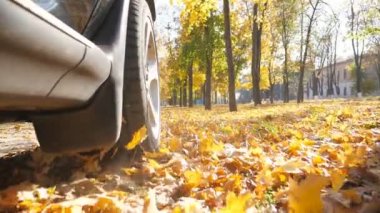 Güçlü araba park yolda sarı sonbahar üzerinde sürüş tekerlek güneşli bir günde bırakır. Renkli sonbahar yaprakları dışarı otomobil tekerleğin altından uçar. Boş yol aracılığıyla SUV geçiş. Yavaş mo yakın çekim.