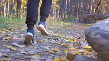 Renkli yapraklarla kaplı orman yolunda koşan güçlü adam bacakları. Adam kuru yapraklara basarak koşuyor. Sporcu dışarıda antrenman ve egzersiz yapıyor. Yavaş çekim. Yakın çekim..