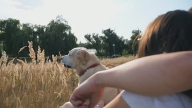 Young couple sitting on grass at meadow and stroking his labrador. Family spends time together with his pet in nature. Couple enjoying rest with their domestic animal. Back view Slow motion Close up.
