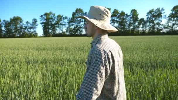 Profil Młodego Rolnika Kapeluszu Spacerującego Zielonym Polu Pszenicy Swojej Farmie — Wideo stockowe