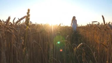 Young girl in white dress walking through wheat field with bright sunset at background. Carefree woman enjoying scenic summer nature on meadow. Concept of freedom or agriculture. Slow motion Low view.