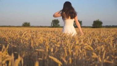 Unrecognizable woman walking through field with ripe wheat at sunny day. Carefree girl touching golden crop ears and enjoying summer nature while going on meadow. Freedom concept. Slow motion.