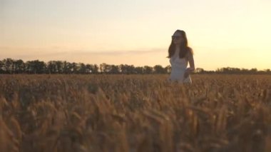 Attractive woman walking through wheat field at sunset time. Camera tracking girl enjoying summer nature on meadow with ripe golden crop ears. Freedom or farming concept. Slow motion Dolly shot.