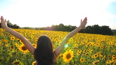 Attractive girl with raised hands standing among sunflowers field. Woman enjoying freedom or beautiful nature. Scenic landscape with bright sunset at background. Outdoor leisure concept. Back view.