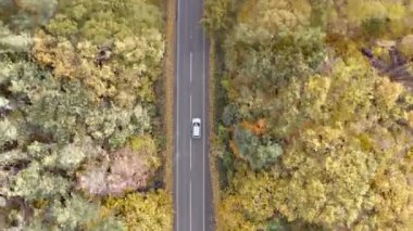 White car riding through countryside road at autumn season. Auto driving at rural route near yellow autumnal forest. SUV moving through scenic landscape way. Concept of travel and journey. Top view.