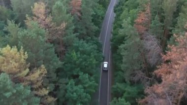 Yeşil ormanda yol boyunca giden beyaz arabanın üst görüntüsü. Yaz günü kırsal bölgede araba kullanmak. Güzel bir sezonda arazi aracının manzarası çok güzel. Tatil seyahati kavramı. Hava görüntüsü.