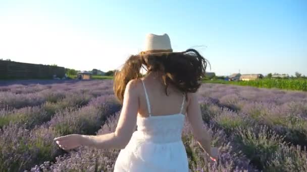 Nuori Tyttö Valkoisessa Mekossa Juoksee Laventelipellon Läpi Aurinkoisena Päivänä Huoleton — kuvapankkivideo