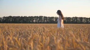 Side view to attractive woman walking through wheat field at sunny day. Camera tracking girl enjoying summer nature on meadow with ripe golden crop ears. Freedom concept. Slow motion Dolly shot.