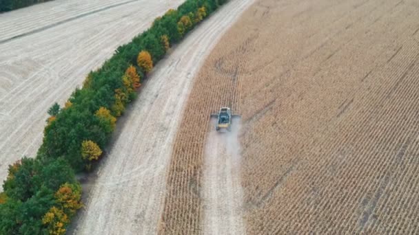 Aerial Shot Combine Working Farmland Flying Harvester Slowly Riding Field — Stock Video