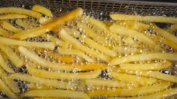 Närbild Pommes Frites Matlagning Fritös Knaprig Potatis Steks Varm Kokande — Stockvideo