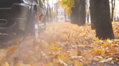 Powerful SUV driving fast along an empty road over yellow leaves at park. Colorful autumn foliage flies out from under wheel of automobile. Black car crossing through alley at sunny day. Rear view.